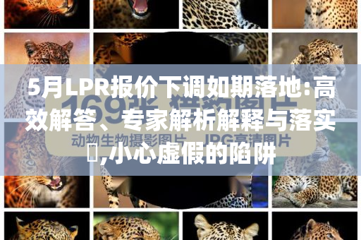 5月LPR報(bào)價(jià)下調(diào)如期落地:高效解答、專家解析解釋與落實(shí)?,小心虛假的陷阱