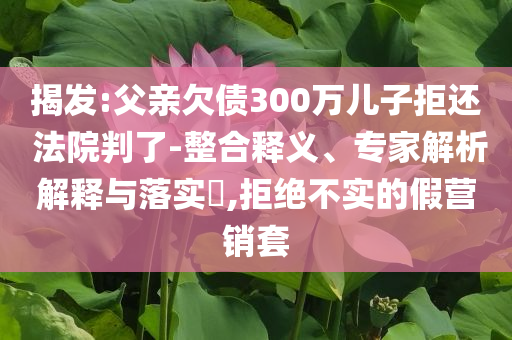 揭發(fā):父親欠債300萬兒子拒還 法院判了-整合釋義、專家解析解釋與落實?,拒絕不實的假營銷套