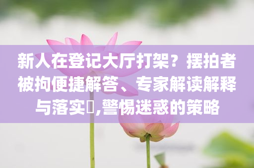 新人在登記大廳打架？擺拍者被拘便捷解答、專家解讀解釋與落實?,警惕迷惑的策略