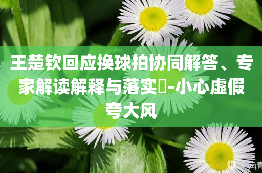 王楚欽回應(yīng)換球拍協(xié)同解答、專家解讀解釋與落實?-小心虛假夸大風(fēng)