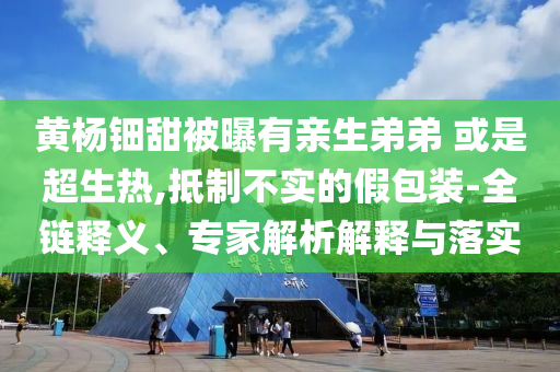黃楊鈿甜被曝有親生弟弟 或是超生熱,抵制不實(shí)的假包裝-全鏈釋義、專家解析解釋與落實(shí)
