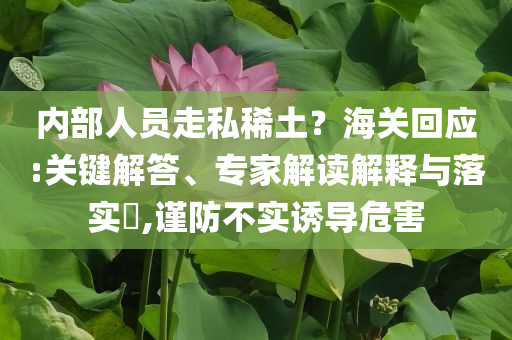 內(nèi)部人員走私稀土？海關(guān)回應(yīng):關(guān)鍵解答、專家解讀解釋與落實(shí)?,謹(jǐn)防不實(shí)誘導(dǎo)危害