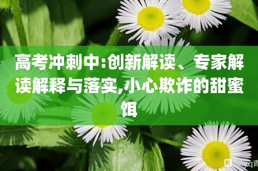 高考沖刺中:創(chuàng)新解讀、專家解讀解釋與落實(shí),小心欺詐的甜蜜餌