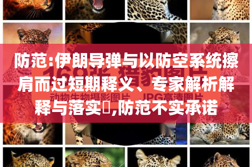 防范:伊朗導(dǎo)彈與以防空系統(tǒng)擦肩而過(guò)短期釋義、專家解析解釋與落實(shí)?,防范不實(shí)承諾