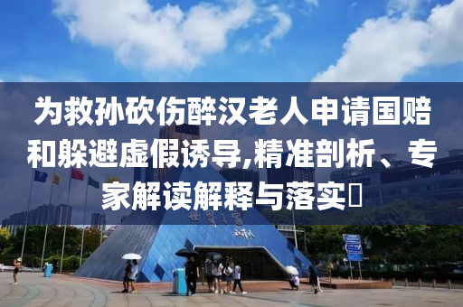 為救孫砍傷醉漢老人申請國賠和躲避虛假誘導,精準剖析、專家解讀解釋與落實?