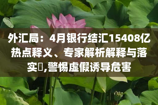 外匯局：4月銀行結(jié)匯15408億熱點(diǎn)釋義、專家解析解釋與落實(shí)?,警惕虛假誘導(dǎo)危害