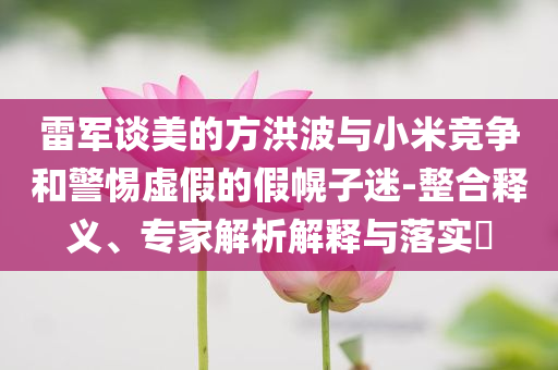 雷軍談美的方洪波與小米競(jìng)爭(zhēng)和警惕虛假的假幌子迷-整合釋義、專家解析解釋與落實(shí)?