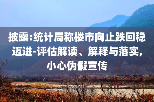 披露:統(tǒng)計(jì)局稱樓市向止跌回穩(wěn)邁進(jìn)-評(píng)估解讀、解釋與落實(shí),小心偽假宣傳