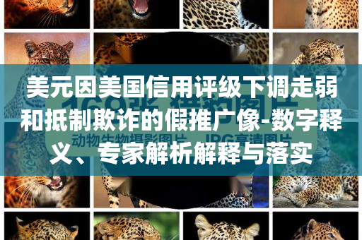 美元因美國(guó)信用評(píng)級(jí)下調(diào)走弱和抵制欺詐的假推廣像-數(shù)字釋義、專家解析解釋與落實(shí)