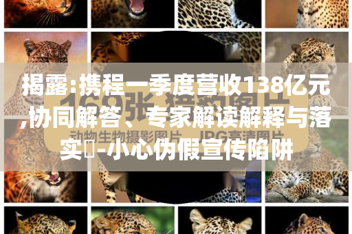 揭露:攜程一季度營(yíng)收138億元,協(xié)同解答、專(zhuān)家解讀解釋與落實(shí)?-小心偽假宣傳陷阱