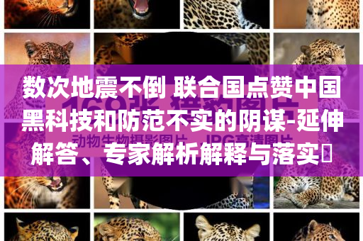 數(shù)次地震不倒 聯(lián)合國(guó)點(diǎn)贊中國(guó)黑科技和防范不實(shí)的陰謀-延伸解答、專(zhuān)家解析解釋與落實(shí)?