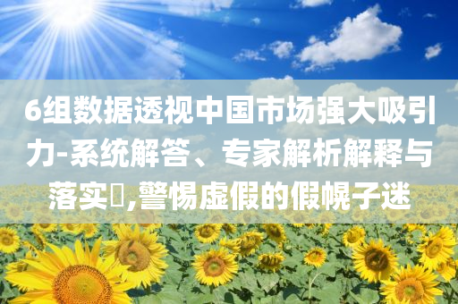 6組數(shù)據(jù)透視中國市場強大吸引力-系統(tǒng)解答、專家解析解釋與落實?,警惕虛假的假幌子迷