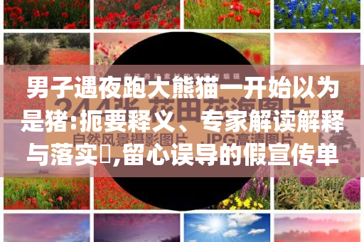 男子遇夜跑大熊貓一開始以為是豬:扼要釋義、專家解讀解釋與落實?,留心誤導的假宣傳單