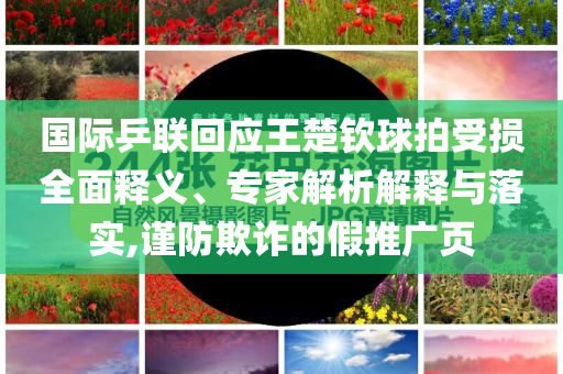 國(guó)際乒聯(lián)回應(yīng)王楚欽球拍受損全面釋義、專家解析解釋與落實(shí),謹(jǐn)防欺詐的假推廣頁(yè)