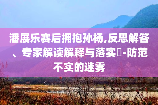 潘展樂賽后擁抱孫楊,反思解答、專家解讀解釋與落實?-防范不實的迷霧