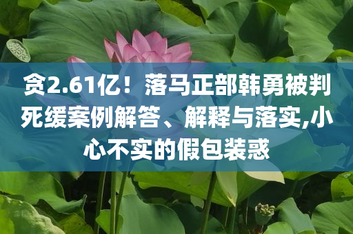 貪2.61億！落馬正部韓勇被判死緩案例解答、解釋與落實,小心不實的假包裝惑