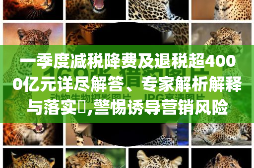 一季度減稅降費及退稅超4000億元詳盡解答、專家解析解釋與落實?,警惕誘導(dǎo)營銷風(fēng)險