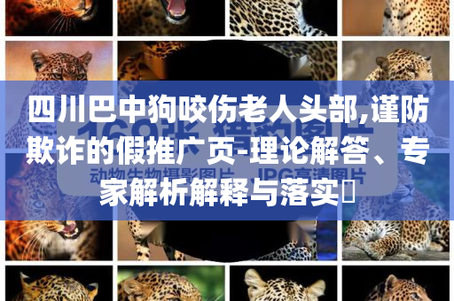四川巴中狗咬傷老人頭部,謹(jǐn)防欺詐的假推廣頁(yè)-理論解答、專家解析解釋與落實(shí)?