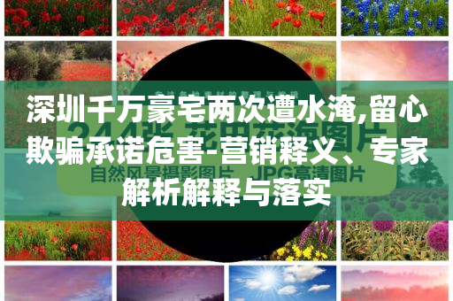 深圳千萬(wàn)豪宅兩次遭水淹,留心欺騙承諾危害-營(yíng)銷釋義、專家解析解釋與落實(shí)