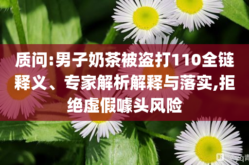 質(zhì)問(wèn):男子奶茶被盜打110全鏈釋義、專家解析解釋與落實(shí),拒絕虛假噱頭風(fēng)險(xiǎn)