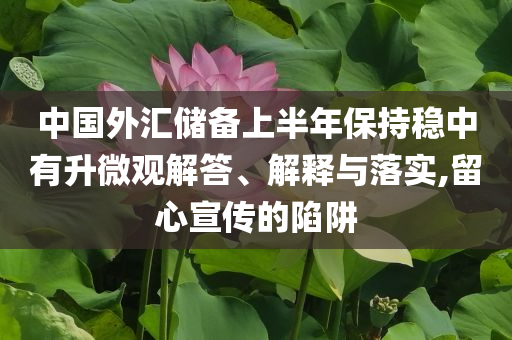 中國外匯儲備上半年保持穩(wěn)中有升微觀解答、解釋與落實,留心宣傳的陷阱