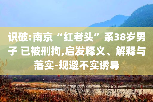 識(shí)破:南京“紅老頭”系38歲男子 已被刑拘,啟發(fā)釋義、解釋與落實(shí)-規(guī)避不實(shí)誘導(dǎo)