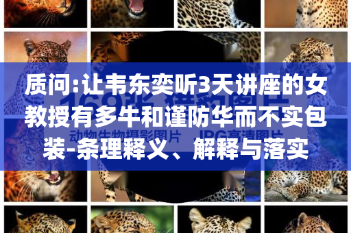質問:讓韋東奕聽3天講座的女教授有多牛和謹防華而不實包裝-條理釋義、解釋與落實