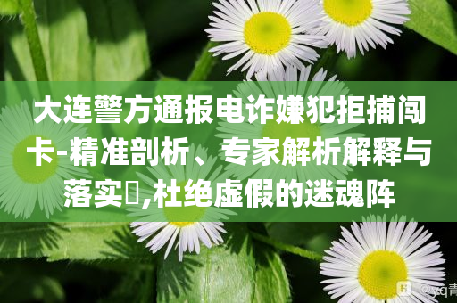大連警方通報(bào)電詐嫌犯拒捕闖卡-精準(zhǔn)剖析、專家解析解釋與落實(shí)?,杜絕虛假的迷魂陣