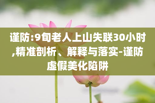 謹(jǐn)防:9旬老人上山失聯(lián)30小時,精準(zhǔn)剖析、解釋與落實(shí)-謹(jǐn)防虛假美化陷阱