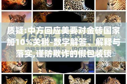 質(zhì)疑:中方回應(yīng)美要對(duì)金磚國家加10%關(guān)稅-數(shù)字解答、解釋與落實(shí),謹(jǐn)防欺詐的假包裝鎖