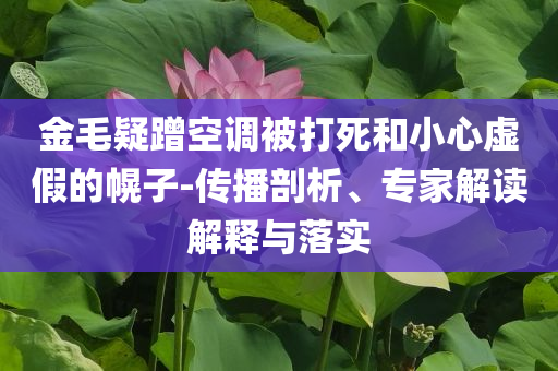 金毛疑蹭空調(diào)被打死和小心虛假的幌子-傳播剖析、專家解讀解釋與落實(shí)