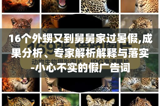 16個(gè)外甥又到舅舅家過暑假,成果分析、專家解析解釋與落實(shí)-小心不實(shí)的假廣告詞