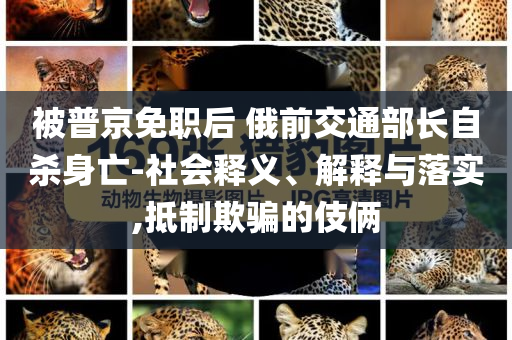 被普京免職后 俄前交通部長自殺身亡-社會釋義、解釋與落實,抵制欺騙的伎倆