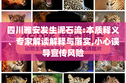四川雅安發(fā)生泥石流:本質(zhì)釋義、專家解讀解釋與落實(shí),小心誤導(dǎo)宣傳風(fēng)險