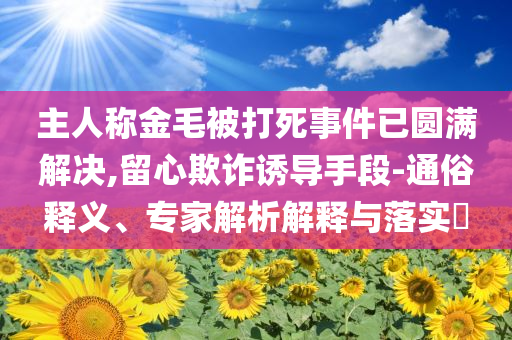 主人稱金毛被打死事件已圓滿解決,留心欺詐誘導(dǎo)手段-通俗釋義、專家解析解釋與落實(shí)?