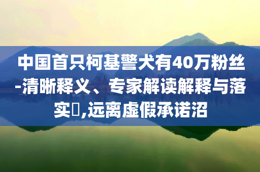 中國首只柯基警犬有40萬粉絲-清晰釋義、專家解讀解釋與落實?,遠離虛假承諾沼