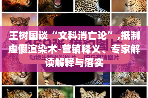 王樹國談“文科消亡論”,抵制虛假渲染術(shù)-營銷釋義、專家解讀解釋與落實(shí)