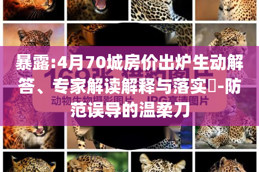 暴露:4月70城房?jī)r(jià)出爐生動(dòng)解答、專家解讀解釋與落實(shí)?-防范誤導(dǎo)的溫柔刀