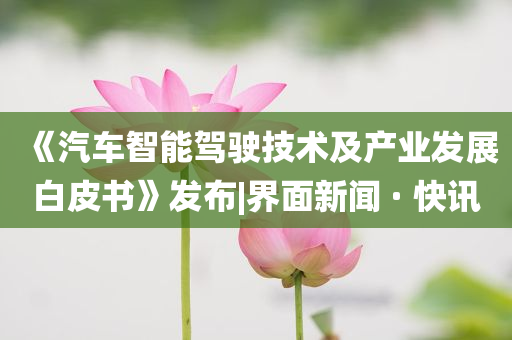 《汽車智能駕駛技術(shù)及產(chǎn)業(yè)發(fā)展白皮書》發(fā)布|界面新聞 · 快訊
