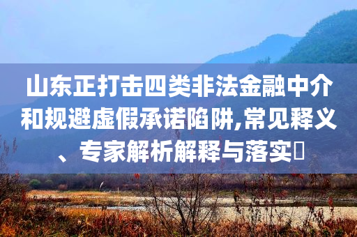 山東正打擊四類非法金融中介和規(guī)避虛假承諾陷阱,常見釋義、專家解析解釋與落實(shí)?