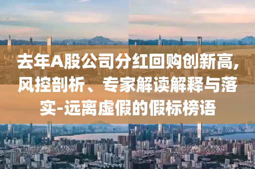 去年A股公司分紅回購創(chuàng)新高,風控剖析、專家解讀解釋與落實-遠離虛假的假標榜語