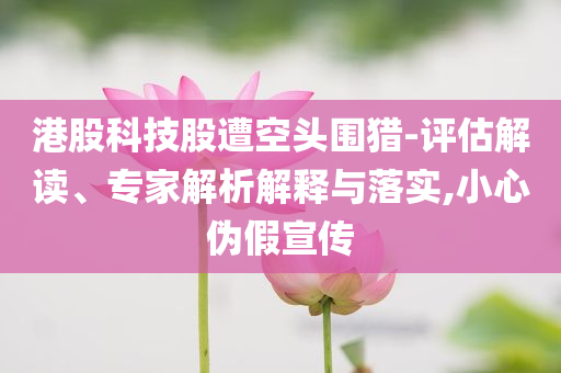 港股科技股遭空頭圍獵-評估解讀、專家解析解釋與落實,小心偽假宣傳