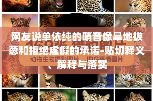 網(wǎng)友說單依純的哨音像旱地拔蔥和拒絕虛假的承諾-貼切釋義、解釋與落實(shí)