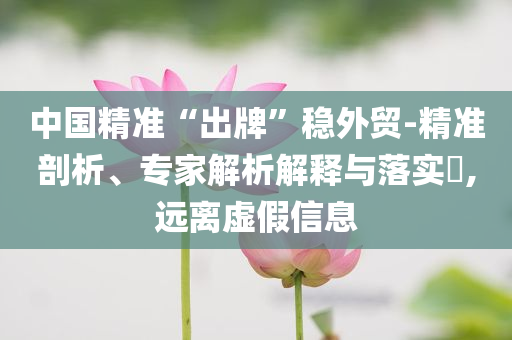 中國精準(zhǔn)“出牌”穩(wěn)外貿(mào)-精準(zhǔn)剖析、專家解析解釋與落實(shí)?,遠(yuǎn)離虛假信息