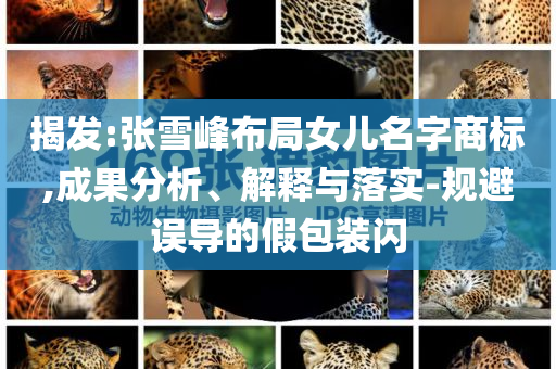 揭發(fā):張雪峰布局女兒名字商標,成果分析、解釋與落實-規(guī)避誤導的假包裝閃