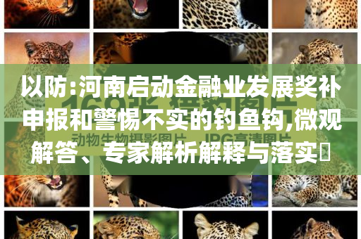 以防:河南啟動(dòng)金融業(yè)發(fā)展獎(jiǎng)補(bǔ)申報(bào)和警惕不實(shí)的釣魚鉤,微觀解答、專家解析解釋與落實(shí)?