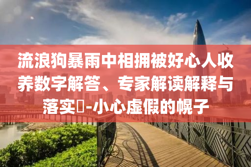 流浪狗暴雨中相擁被好心人收養(yǎng)數字解答、專家解讀解釋與落實?-小心虛假的幌子