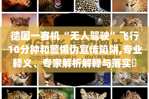 德國一客機(jī)“無人駕駛”飛行10分鐘和警惕偽宣傳陷阱,專業(yè)釋義、專家解析解釋與落實(shí)?
