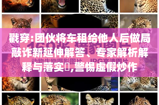 戳穿:團(tuán)伙將車租給他人后做局敲詐新延伸解答、專家解析解釋與落實(shí)?,警惕虛假炒作