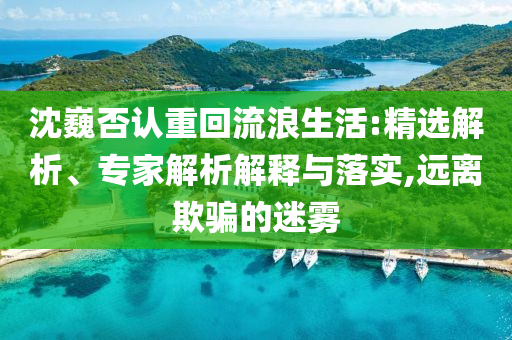 沈巍否認(rèn)重回流浪生活:精選解析、專(zhuān)家解析解釋與落實(shí),遠(yuǎn)離欺騙的迷霧